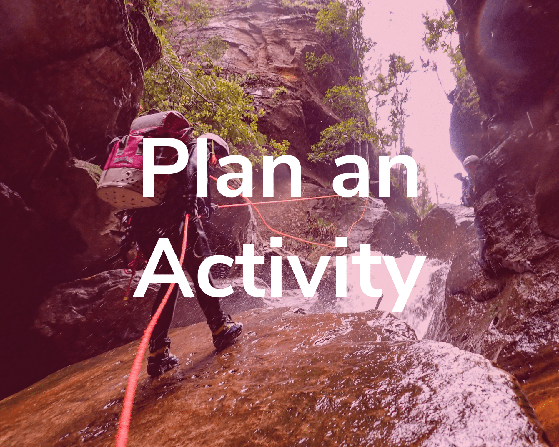 Plan an Activity